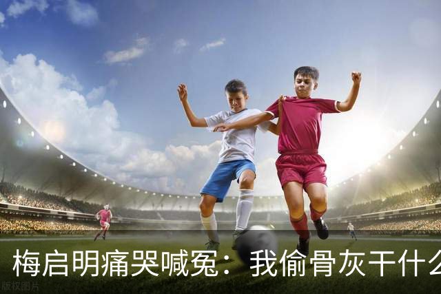 梅启明痛哭喊冤：我偷骨灰干什么？那是我亲妹!